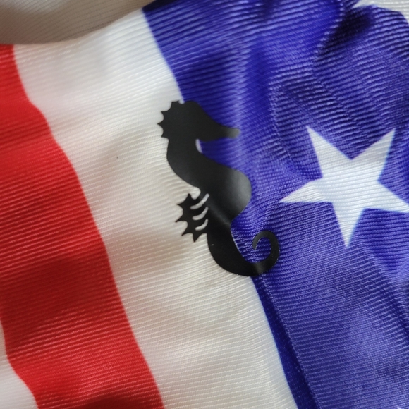 AMERICAN FLAG ONE PIECE BATHING SUIT - Picture 4 of 9